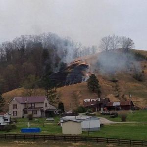 Meet your Posher, Faye